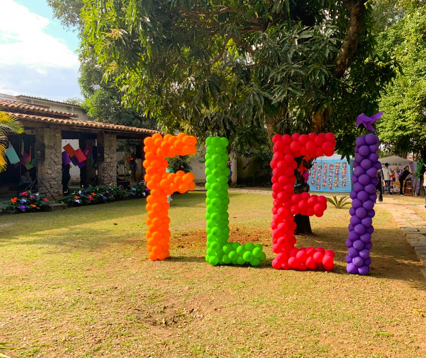 Read more about the article FLEI 2019